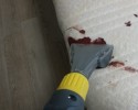 건습식케어 # 혈흔 얼룩 제거